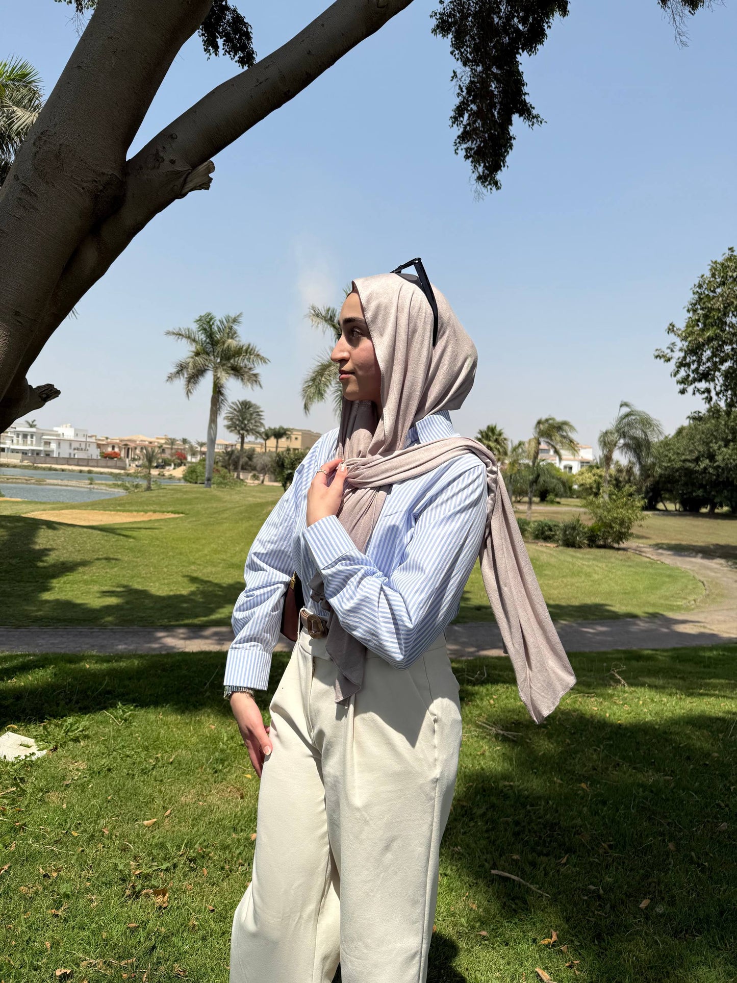 Poplin Striped Shirt